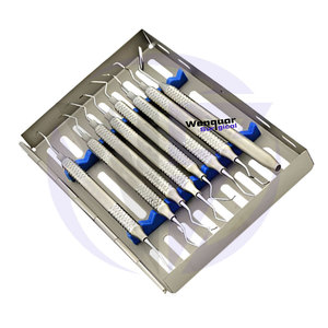 Juego de higiene dental profesional, instrumentos de 8 piezas para la profilaxis y eliminación de sarro con casete de esterilización, Manual quirúrgico - Product Image 1