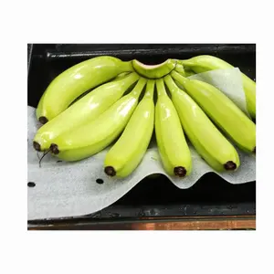 ベトナムのサプライヤーが100% 天然の新鮮なキャベンディッシュバナナを卸売購入者に販売新鮮なトロピカルフルーツのトップサプライヤー