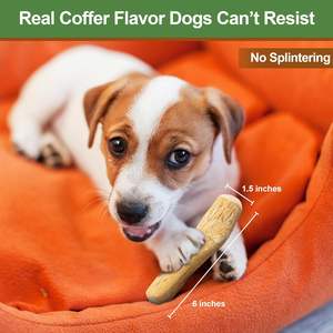 Juguete masticable para perros de madera de café Natural 100%, duradero, hecho a mano, de origen sostenible para masticadores y cachorros agresivos - Product Image 2