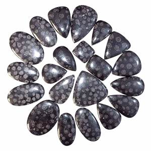 Lote al por Mayor de Piedras Preciosas de Coral Fósil Negro 100% Natural, Cabujones de Diferentes Formas y Tamaños para la Fabricación de Joyas - Product Image 3