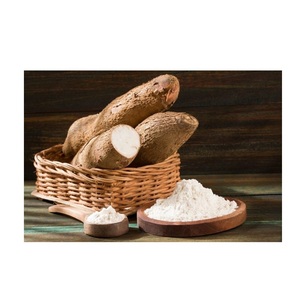 Farine d'amidon de tapioca fécule douce fécule de pomme de terre tapioca en poudre pour exportation dans le monde entier - Product Image 6