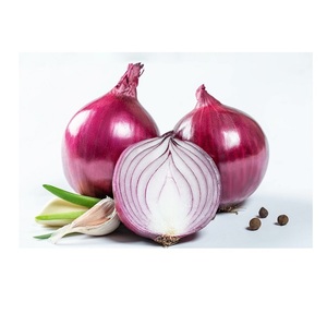 Acheter des oignons violets à vendre à bas prix Commandes en gros fraîches et nutritives de haute qualité prêtes pour la livraison - Product Image 4