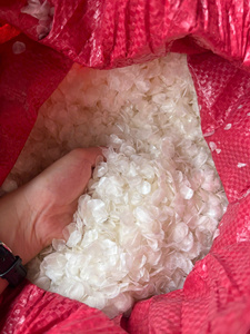 Écailles de poisson séchées du Vietnam, haute qualité, en gros, nettoyées, source naturelle pour engrais et aliments, 20kg/carton, meilleur prix abordable - Product Image 2