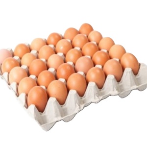 Hete Verkoop Bruine En Witte Boerderij Verse Kippeneieren Inclusief Struisvogeleieren Uit Nederland Verse Tafeleieren - Product Image 2
