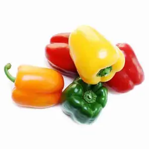 Fresh Capsicum / Quality Fresh Capsicum / Bell Peppers Capsicum for sale Ready for Export in Bulk Quantity