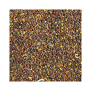 ถุงส่งออกขนาด25กก. และ50กก. เมล็ดคาโนลา - Product Image 4