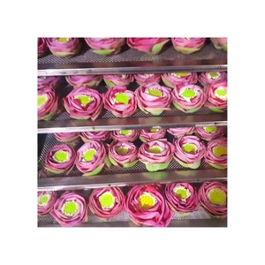 Flores de Loto Secas de Alta Demanda para la Formulación de Perfumes Industriales y su Utilización como una Rica Fuente de Fibra Vegetal - Product Image 2