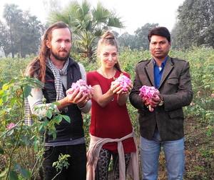 Eau florale de rose 100% hydrosol naturel pur distillé à la vapeur pour la peau Toner Aromathérapie Brume pour le visage et cosmétiques - Product Image 6