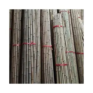 Berbunga dengan bambu: diskon besar pancang bambu untuk dukungan tanaman