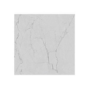 Fournisseur en gros Carreaux de céramique mats de décoration d'intérieur de style luxe disponibles à un prix raisonnable - Product Image 1