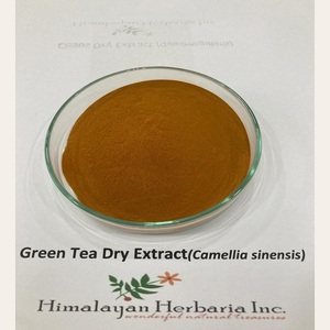 Highly Rated Pure Organic Green Tea <b>Extract</b> Powder Food Grade Root Leaf <b>Extract</b> Available in Bag Drum Packaging Certified Halal - Product Image 4