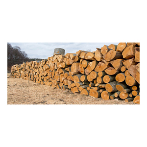 Bois de chauffage en hêtre de qualité supérieure, marque personnalisée pour les commandes en gros, prix de gros, livraison rapide - Product Image 4