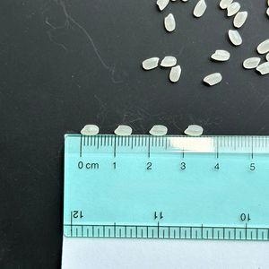 Riz japonica biologique à grain court Riz blanc collant de qualité supérieure pour sushi Fourniture en gros sans gluten OEM mondial disponible - Product Image 2