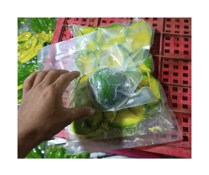 Fresh Cut Vietnam Frozen Avocado Premium Suministro de calidad a granel para batidos Guacamole Tostadas Hornear y Cremoso Delicioso Dips - Product Image 1