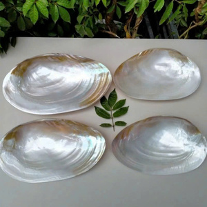 Haute qualité poli coquillage artisanat nacre assiette élégante salle à manger nacre assiette pour servir de la nourriture - Product Image 6