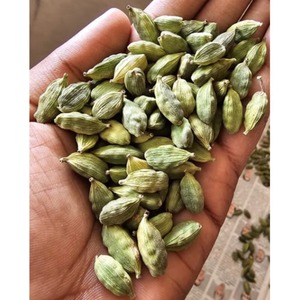 Cardamomo Verde en Oferta, Vainas Enteras Seleccionadas a Mano, Especia Verde Fresca para Suministro a Granel y Negocios de Comercio Global - Product Image 2