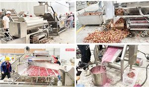 Verimli meyve suyu üretimi için paketleme sistemi ile çok fonksiyonlu nar suyu ekstraktör makinesi - Product Image 4