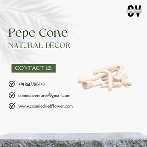 Arrangements de fleurs séchées populaires de qualité supérieure Pepe Cone DIY pour les bureaux de mariages-Plantes de fleurs décoratives d'Halloween - Product Image 5