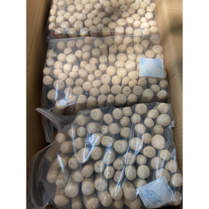 100% Produits naturels pour animaux de compagnie faits à la main-Friandises à mâcher pour chien en bois de café sûres et saines au prix d'usine pour l'exportation du Vietnam - Product Image 1