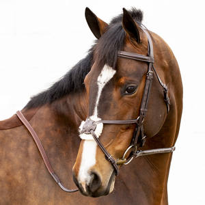 Maxican Bridle cuirs bien faits ont des numéros en relief Western Headstall Anatomique Anatomique Snaffle Hunter Saisonnier - Product Image 2
