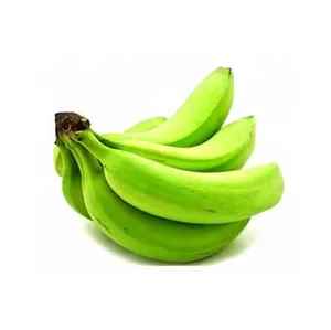 最佳100% 高品质绿色香蕉新鲜卡文迪许香蕉低价从越南热卖