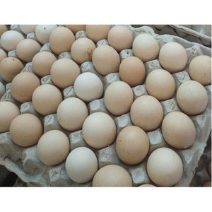 Huevos frescos blancos y marrones |   Huevos frescos de gallina de corral en venta - Product Image 4