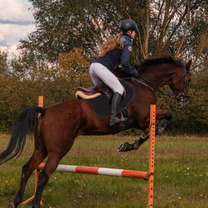 Tapis de selle d'équitation sur mesure en gros pour le dressage, le saut d'obstacles, l'équitation et l'utilisation en écurie - Product Image 5