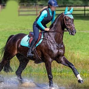 Vente en gros d'enveloppes durables pour les jambes de cheval Flexibilité et amorti Protection de l'équitation Amélioration des performances Bottes de tendon personnalisées - Product Image 4