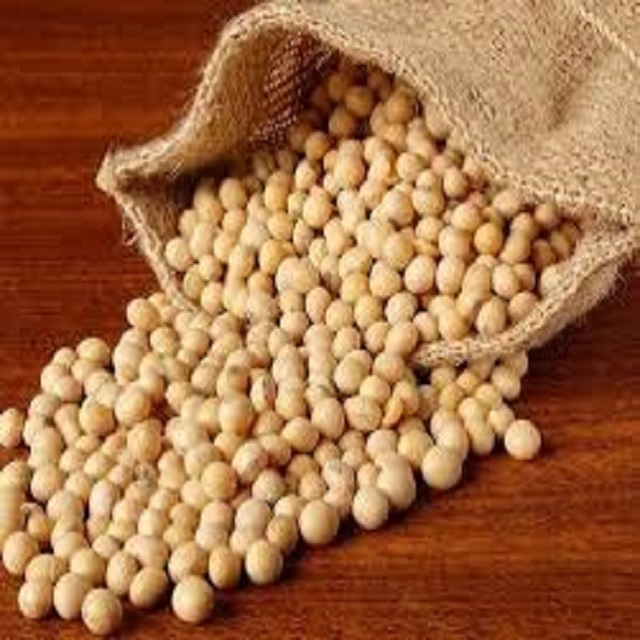 Non GMO, семена соевых бобов, оригинальные соевые бобы, низкая цена