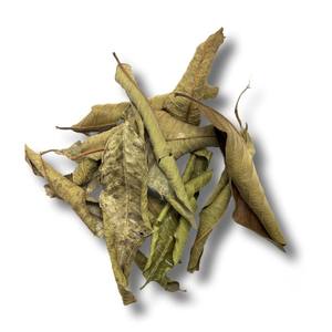 Venta al por mayor hoja de guayaba seca natural precio más barato hojas de guayaba secas para hacer té de hierbas listo para exportar - Product Image 2