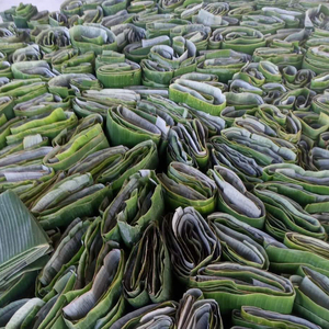Frozen Banana Leaf <b>Leave</b> Green Leaf 100% Natural in Viet Nam - Product Image 5