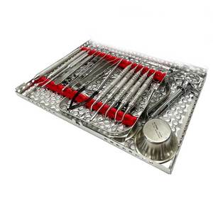 Kit Completo de Implantes Dentales Raymond Implant Institute, Juego de Instrumentos Quirúrgicos, Herramientas Profesionales de Implantología, Manual de Metal - Product Image 6