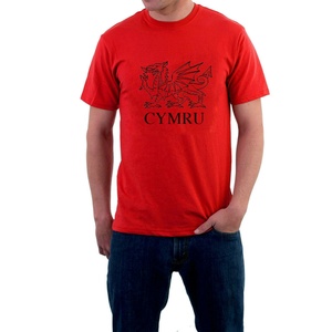 Camiseta de Hombre de Manga Corta, Oversize, de Algodón Orgánico de 300g, de Alta Calidad, Casual, con Diseño Personalizado y Estampado - Product Image 4