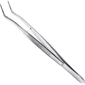 Juego de 2 pinzas dentales para apósito de pico dentado College & Meriam | Fórceps quirúrgicos de algodón Instrumentos de diagnóstico médico - Product Image 5