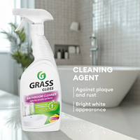 GRASS 600g Spray Anti-Rouille Jetable Parfum Citron Haute Concentration Détartrant Calcaire et Déposits de Calcium Nettoyage en Profondeur Salle de Bain