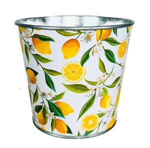 Maceta de hierro con estampado esmaltado de peso ligero, maceta de Metal para jardín interior y exterior, uso en el hogar y el balcón - Product Image 1