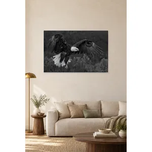 Impression sur toile Fida d'un aigle chauve coulissant en noir et blanc - Product Image 1