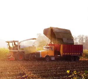 Cosechadora Agrícola de Calidad Original para Arroz y Trigo, Cosechadora Económica Disponible - Product Image 1