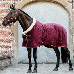 Productos profesionales para montar a caballo Manta estable Recortada Westcoast Alfombra equina Hoja ecuestre personalizada para caballos - Product Image 6