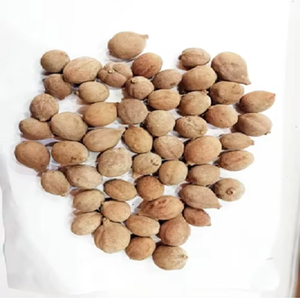 Semillas de Myrobalan de Grado Alimenticio, Behada, Terminalia Bellirica, Bibhitaki, Beleric, Bahera, de Origen Silvestre - Product Image 1