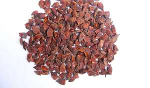 HAUT DES ÉPICES DU VIETNAM-ÉPICES VILACONIQUES EN VENTE-DÉPOSEZ VOS ARTICLES MAINTENANT (WS : + 84398885178) - Product Image 5