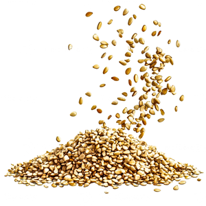 เมล็ดงาดำสดใหม่ธรรมชาติแท้ คุณภาพพรีเมียม ขนาด 14-32 พร้อมรับประทาน - Product Image 1