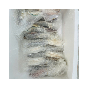 Cuillères en nacre réutilisables et écologiques: artisanat de coquillage et de conque de luxe, de haute qualité et en gros - Product Image 6