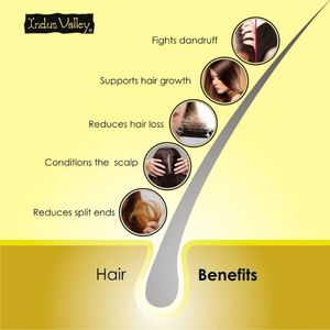 Extracto de plantas Aceite esencial Menta natural Lavanda Hierba de limón Romero Eucalipto Aceite de árbol de té Juego de 6 aceites esenciales 15ml - Product Image 6