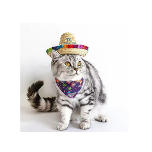 Small Vintage Pet <b>Straw</b> <b>Hat</b> Cute Mini Mexican Dog Cat Sun <b>Hat</b> Sombrero <b>Straw</b> <b>Hats</b> Made in Vietnam - Product Image 2