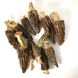 500g מזרח נטורהוס יבשים פטריות מורל פראי - Product Image 5