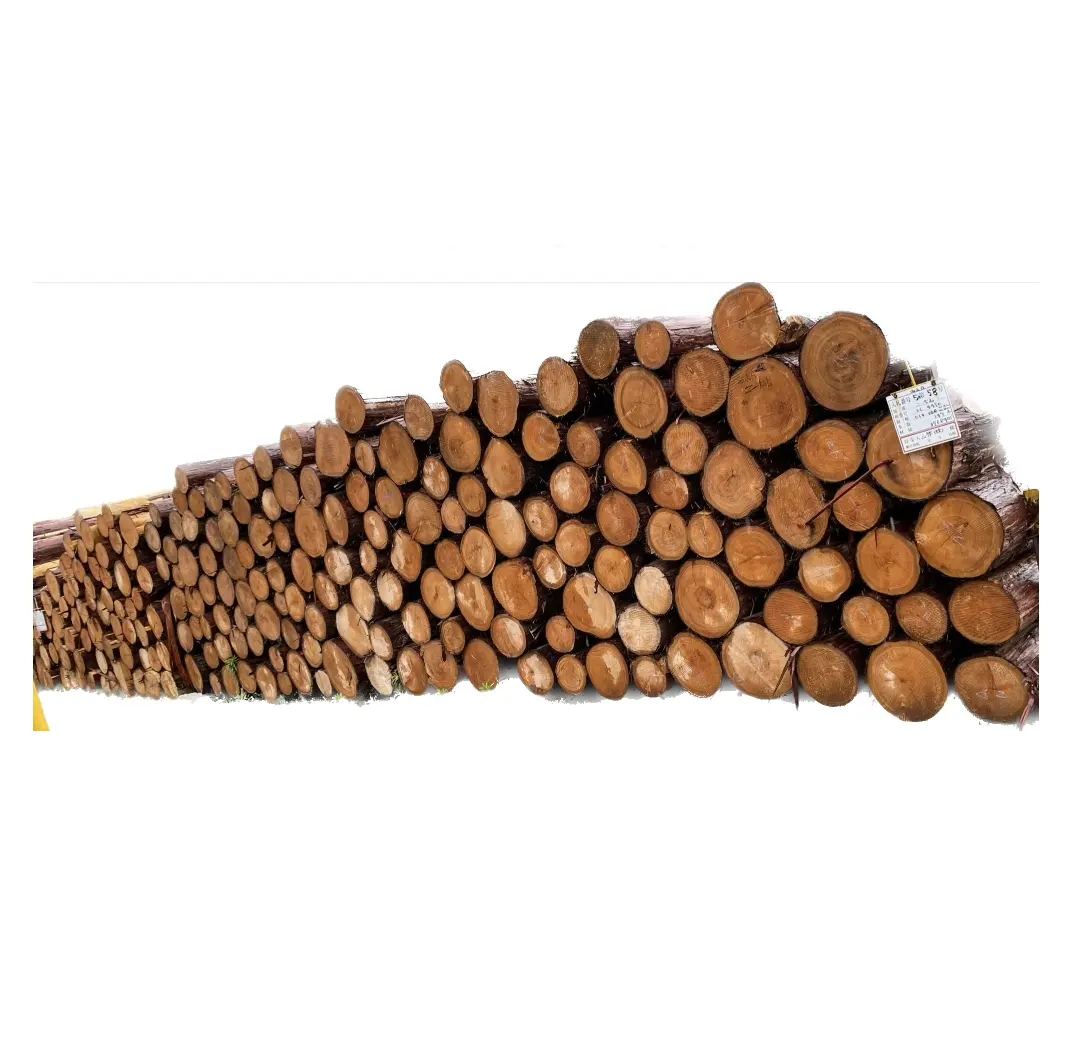 Japanese Best Exporting Product Hinoki Wooden Logs for Crafts