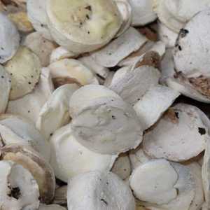 Caoutchouc naturel de latex de haute qualité en blocs de Thaïlande, grade moulé, motif liquide - Product Image 1