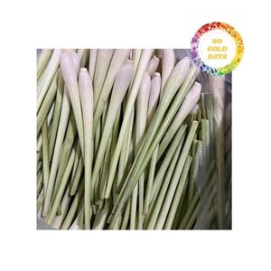 Hierba de Limón Congelada Premium de Vietnam, Recién Cortada con Fragancia Natural, Procesada IQF, Lista para Grandes Cantidades - Product Image 3