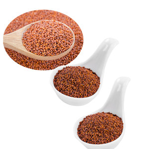 Berro | Ciclo de cosecha rápida | Ideal para verdes continuos - Product Image 2